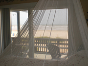 View from Master Bedroom