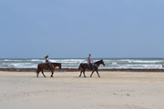 Horseback Riding